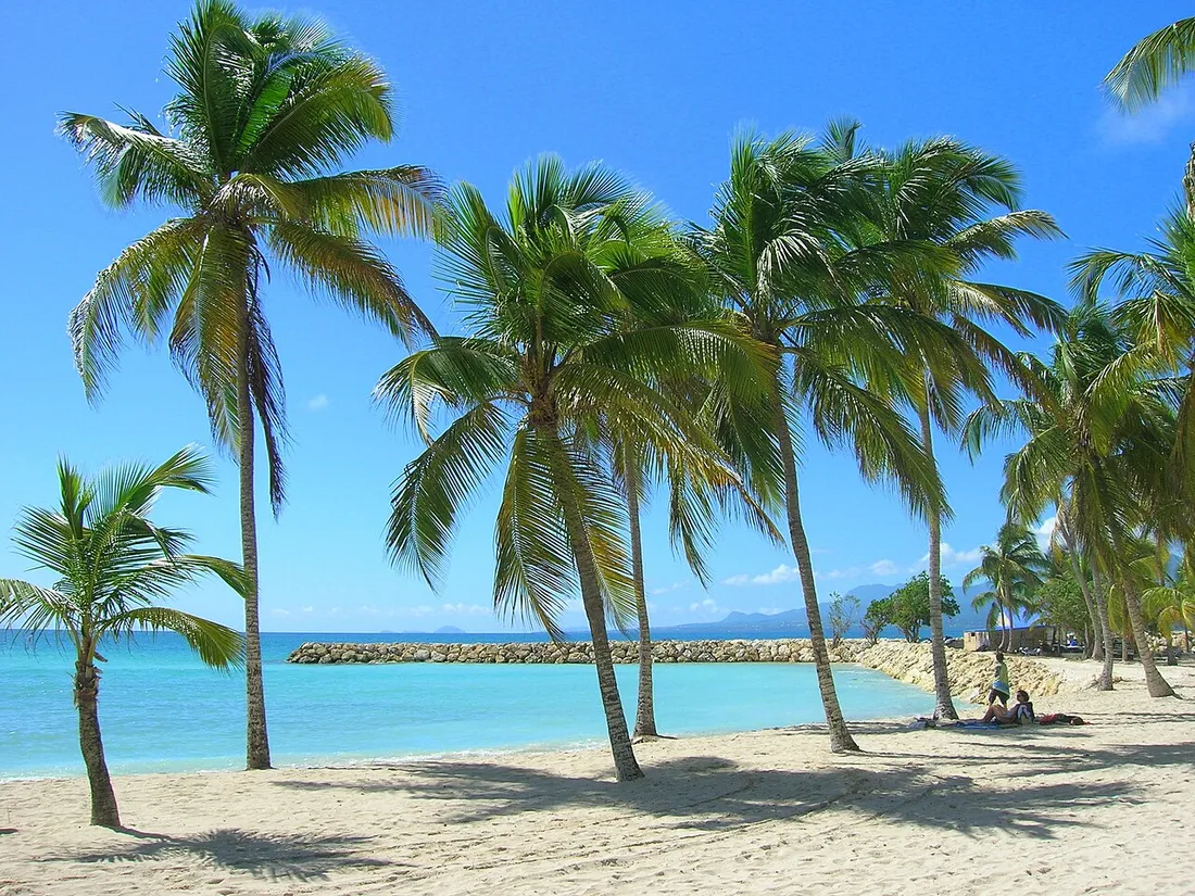 Plage bord de mer de Sainte-Anne en Guadeloupe avec cocotiers et lagon turquoise