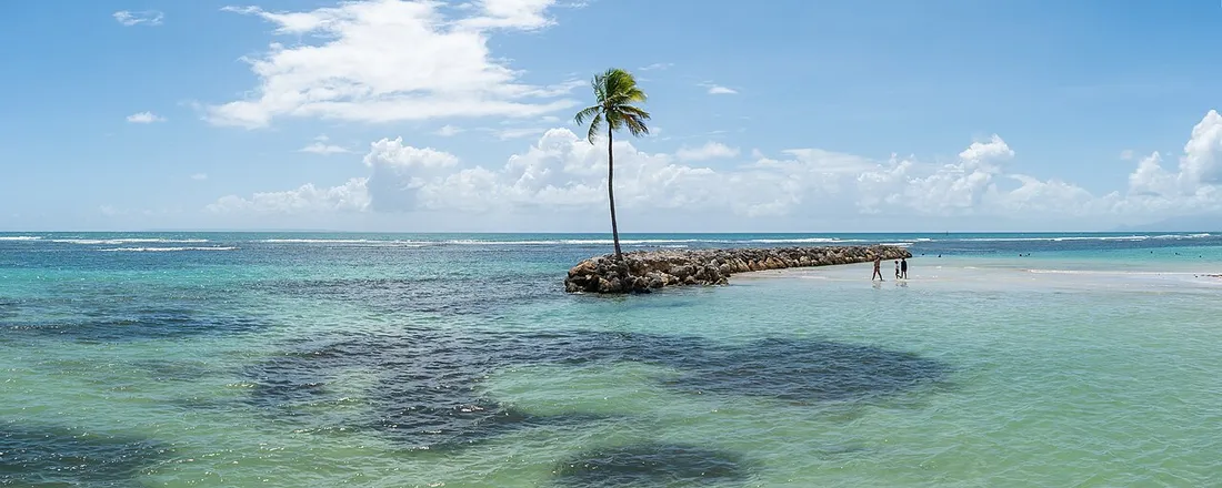 Plage du bourg de Sainte-Anne en Guadeloupe avec cocotiers, lagon turquoise et baigneurs, destination prisée des locations touristiques aux Antilles