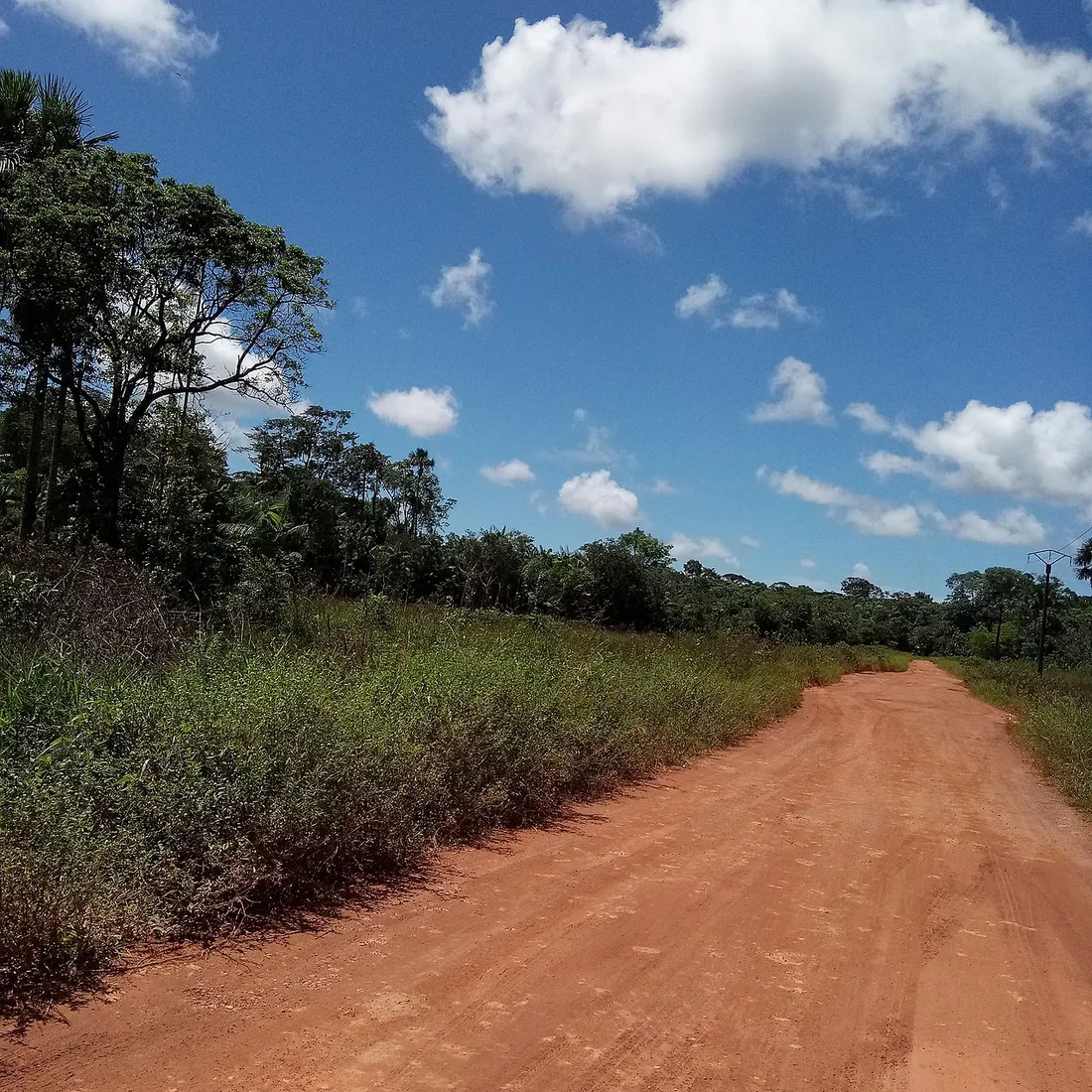 Piste de latérite rouge bordée de forêt tropicale sur la route de Roura, en Guyane, illustrant la conduite locale sur routes non revêtues