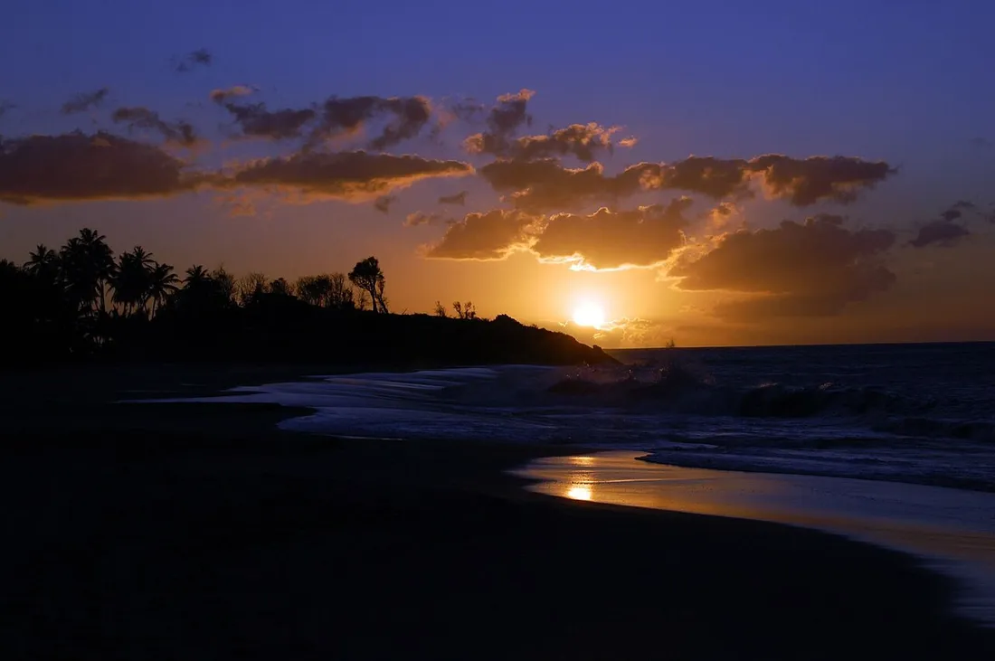 Soleil couchant aux teintes orangées derrière les nuages et les cocotiers d'une plage de Deshaies, côte sous-le-vent de la Guadeloupe, reflets dorés sur le sable mouillé
