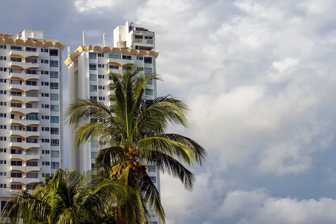 Immeubles residentiels modernes avec balcons sous un cocotier en zone tropicale, illustrant un investissement locatif neuf