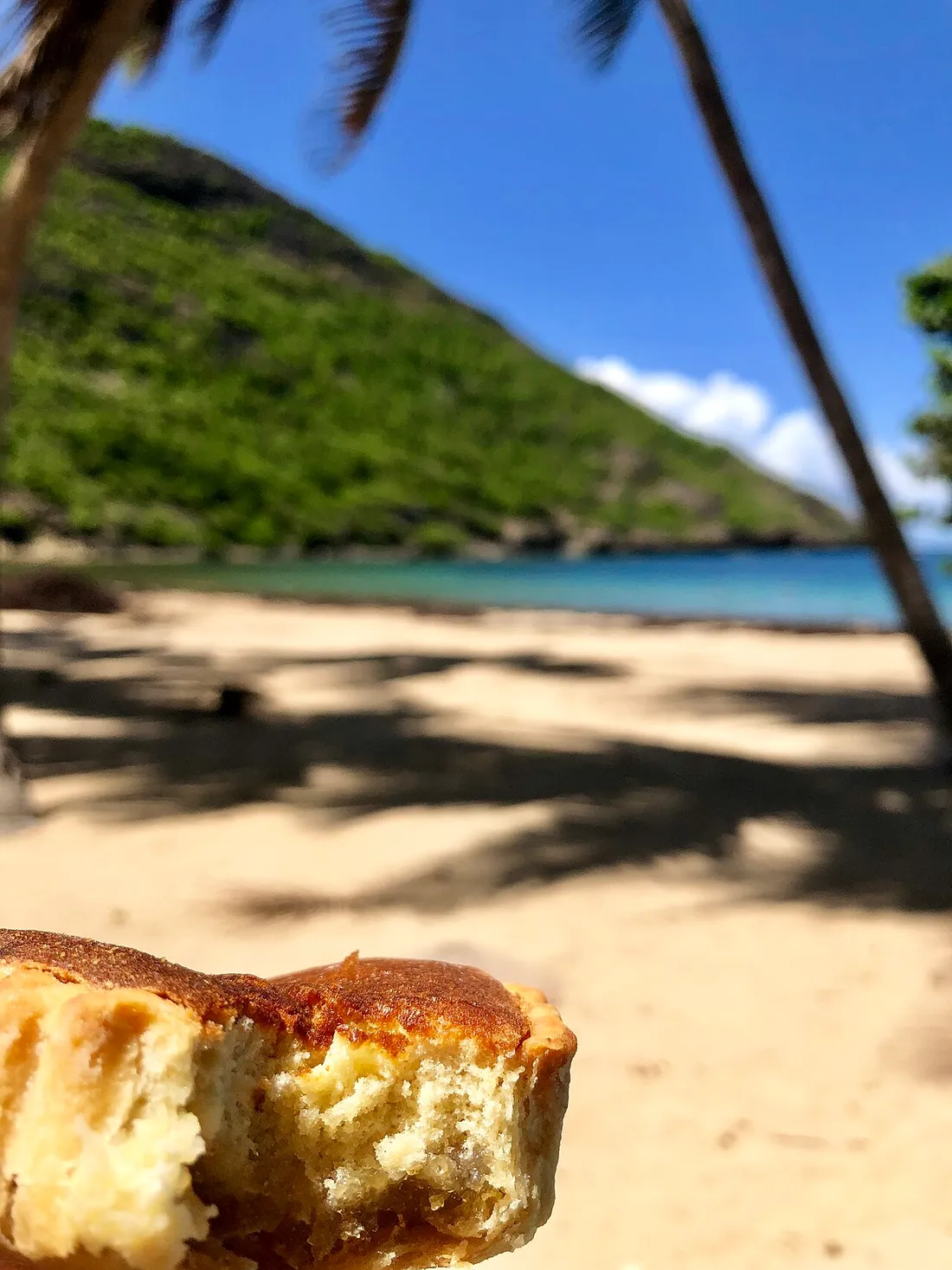 Tourment d'amour, tartelette antillaise garnie de noix de coco, tenue devant une plage et un palmier des Antilles