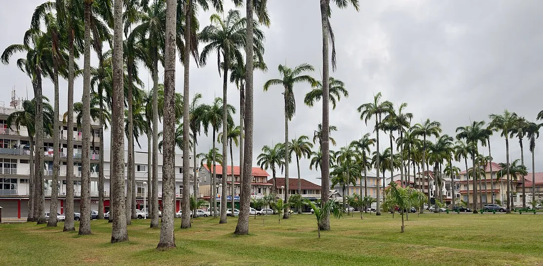 La place des Palmistes à Cayenne, vaste esplanade plantée de palmiers royaux et bordée de bâtiments coloniaux, principal lieu de rassemblement et de concerts de la ville