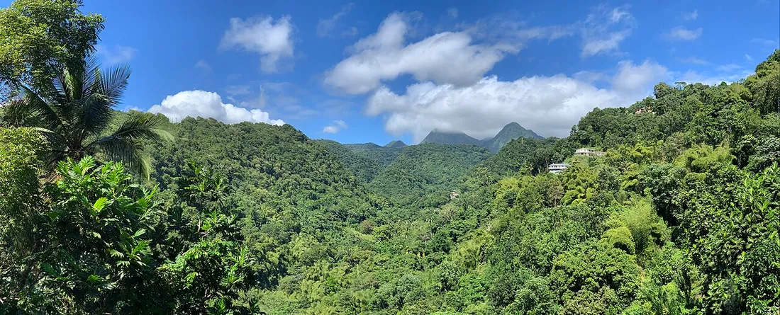 Forêt tropicale et pitons du Carbet vus depuis la route de la Fontaine Didier au nord de la Martinique