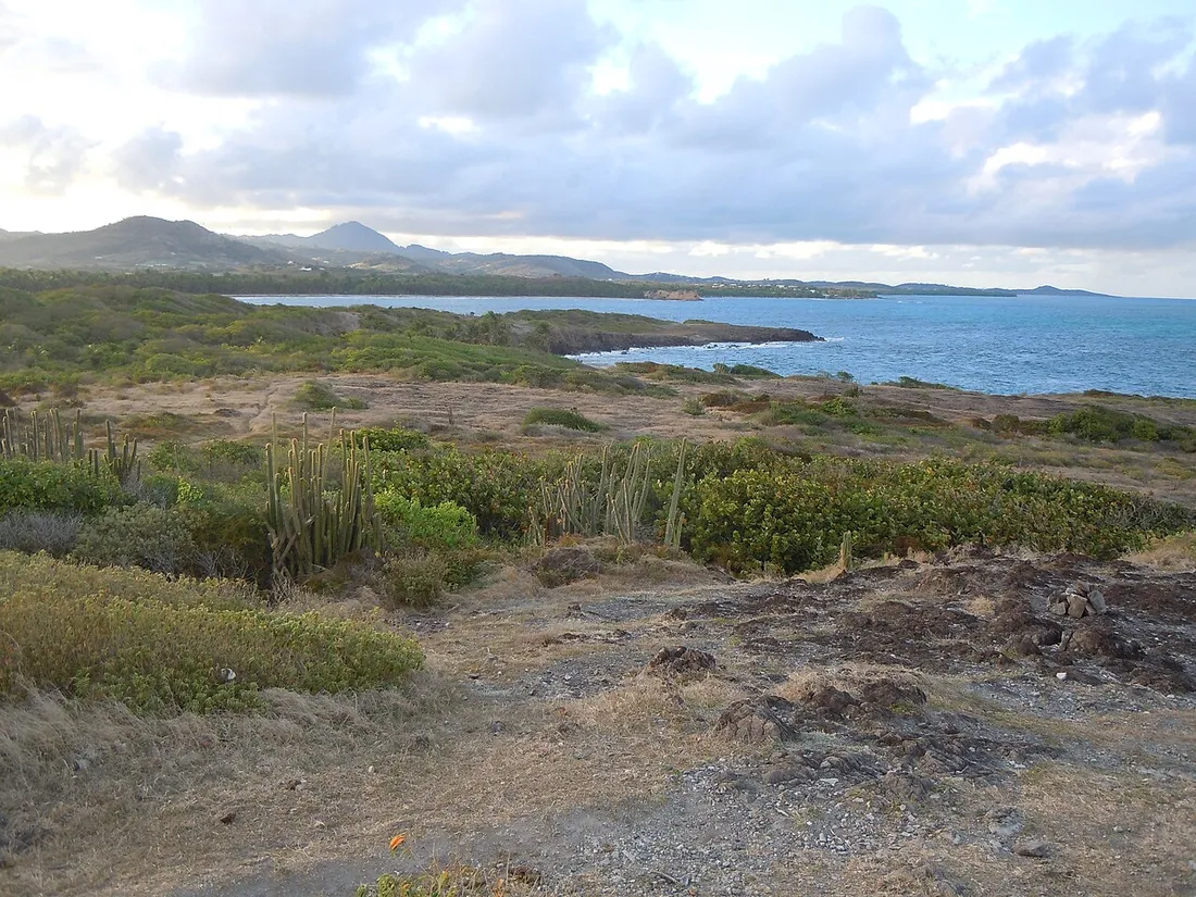 Vue panoramique de la côte sauvage de Grand Macabou au Vauclin en Martinique, avec sa végétation sèche, ses cactus et son lagon en arrière-plan