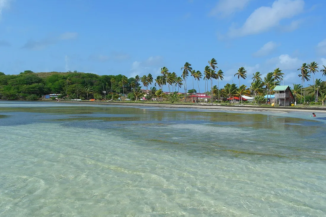 Lagon turquoise peu profond et eaux cristallines bordés de cocotiers à la Pointe Faula du Vauclin en Martinique