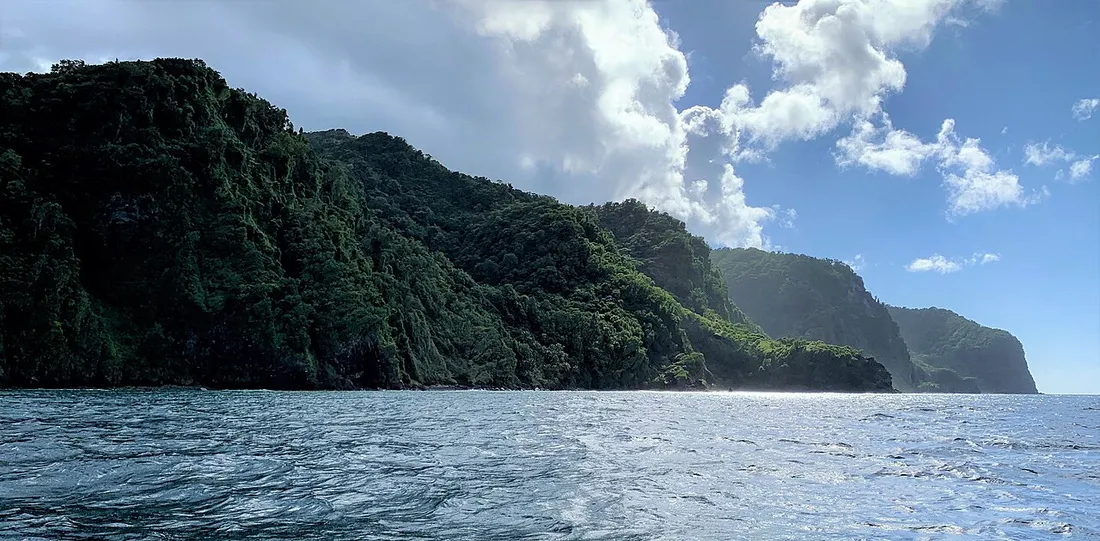 Les falaises sauvages et boisées plongeant dans la mer le long de la côte de Grand-Rivière, sur l'itinéraire de randonnée vers Le Prêcheur