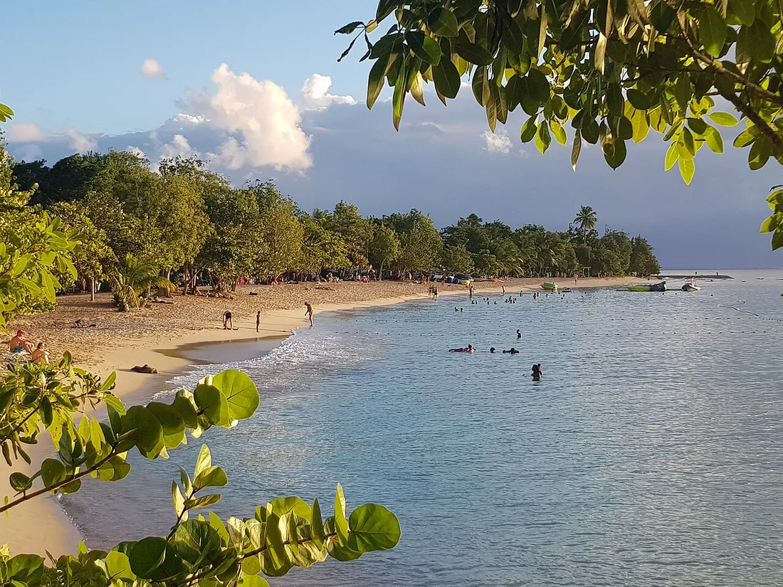 Plage publique et gratuite du Souffleur a Port-Louis en Guadeloupe avec baigneurs dans une eau turquoise