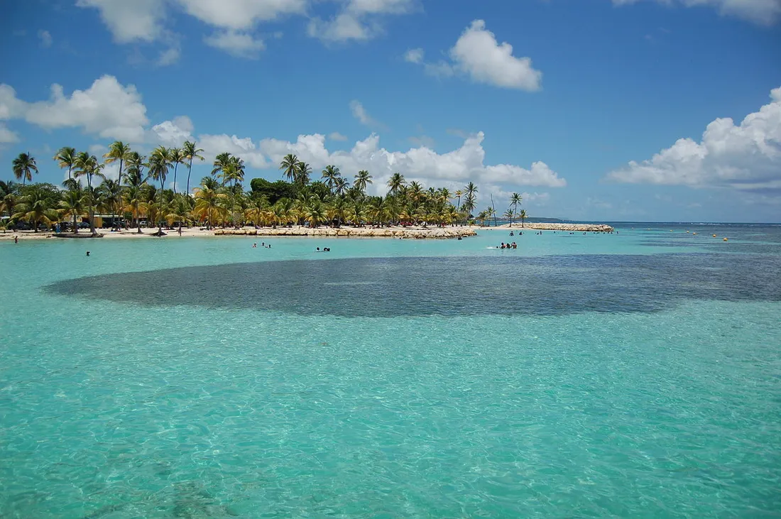 Plage de Sainte-Anne en Guadeloupe : lagon turquoise peu profond bordé d'une rive de sable blanc plantée de cocotiers