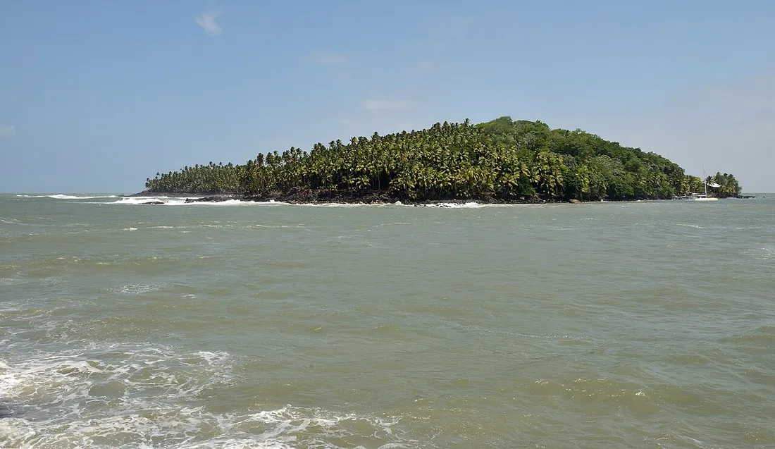 Île Saint-Joseph, l'une des Îles du Salut couverte de palmiers et de végétation tropicale, vue depuis la mer au large de la Guyane