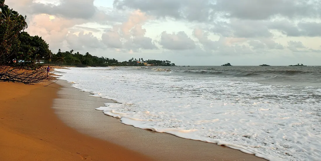 Plage de l'Anse de Montabo a Cayenne en Guyane, sable et cocotiers au bord de l'ocean Atlantique, cadre adapte a une journee en famille