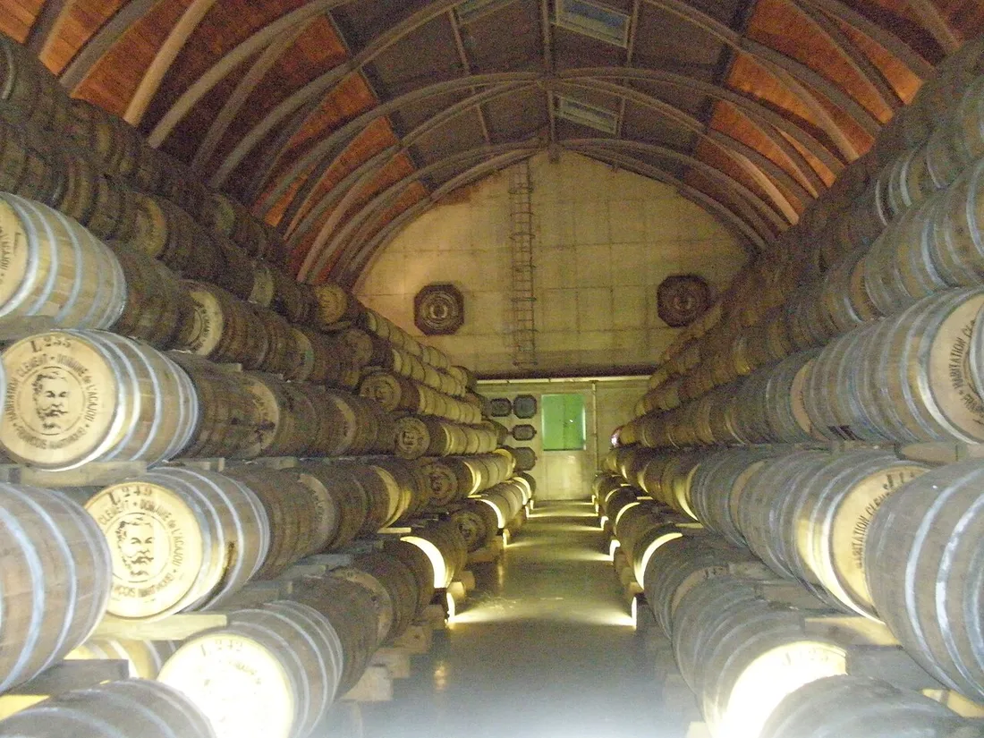 Le chai de vieillissement de l'Habitation Clement au Francois, avec ses rangees de futs de rhum sous une charpente voutee