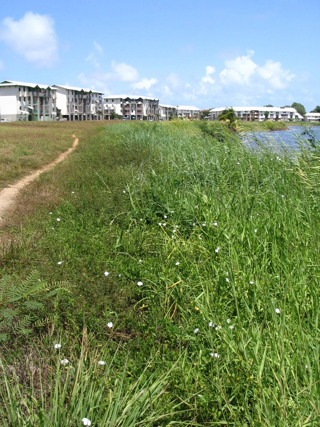 Immeubles residentiels du quartier de Bois Chaudat au bord de l'eau a Kourou, en Guyane