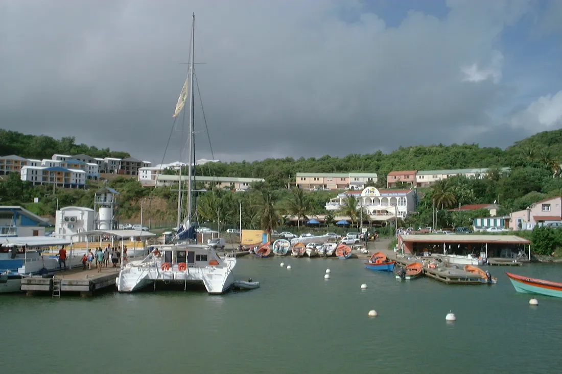 Le port et la baie du François en Martinique, avec un catamaran à quai et les maisons résidentielles étagées sur les mornes verdoyants de la côte atlantique