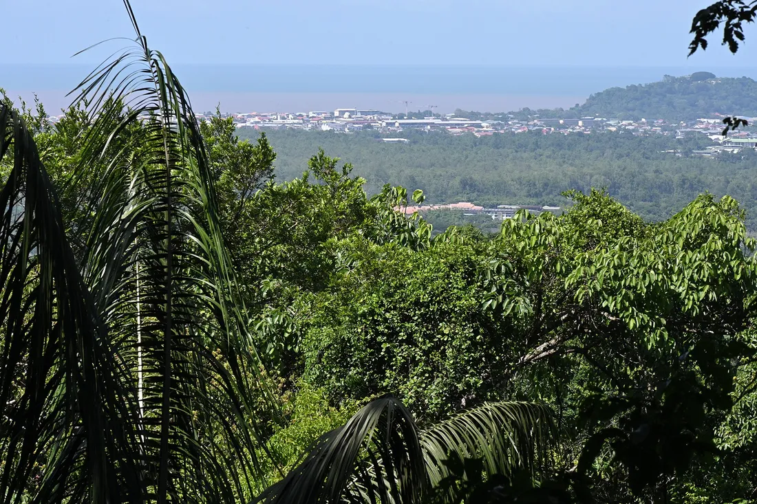 Vue de la ville de Cayenne et de la plaine littorale de Guyane depuis les hauteurs boisées du mont Grand Matoury, avec l'océan Atlantique à l'horizon
