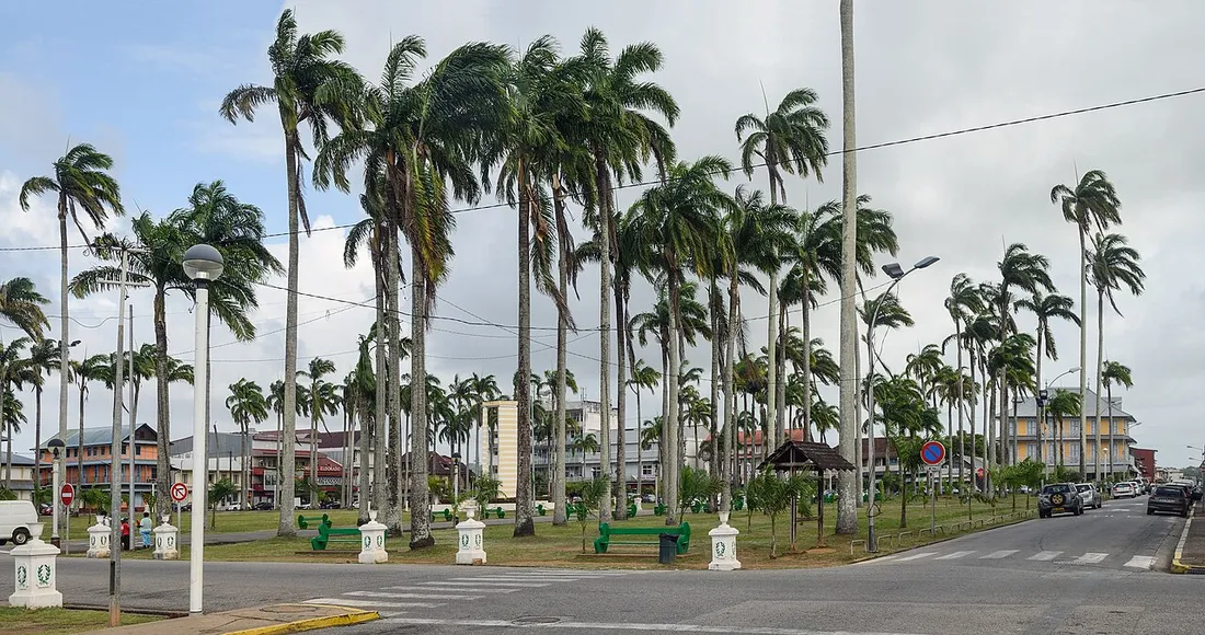 La place des Palmistes à Cayenne, bordée de palmiers royaux et de bâtiments créoles du centre-ville, secteur où logent les formateurs en mission en Guyane