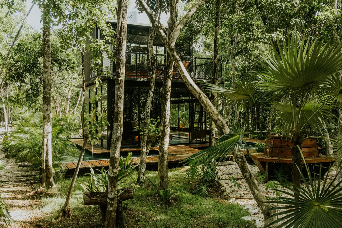 Hébergement contemporain en bois et verre sur pilotis, entouré de forêt tropicale dense et de palmiers, avec terrasse en bois