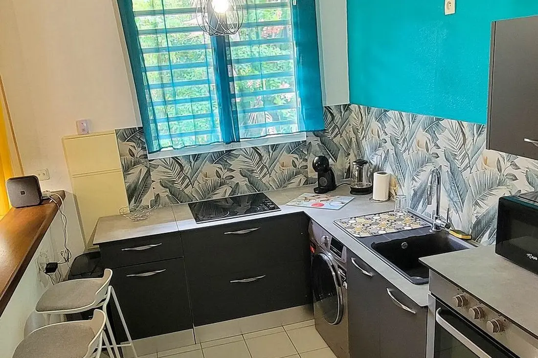 Cuisine anthracite d’un appartement Cayenne Chic : plaques de cuisson, évier noir, crédence à feuillages et mur turquoise
