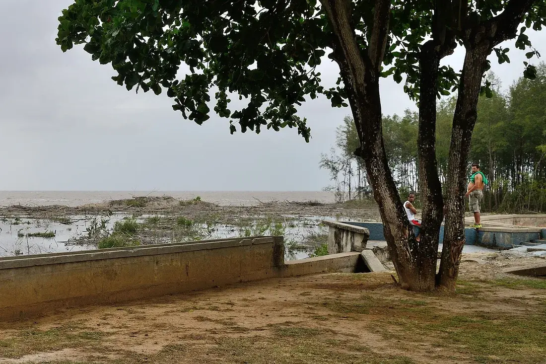 Rivage de l'allée des trois fleuves à Cayenne, eau chargée de sédiments et végétation de bord de mer