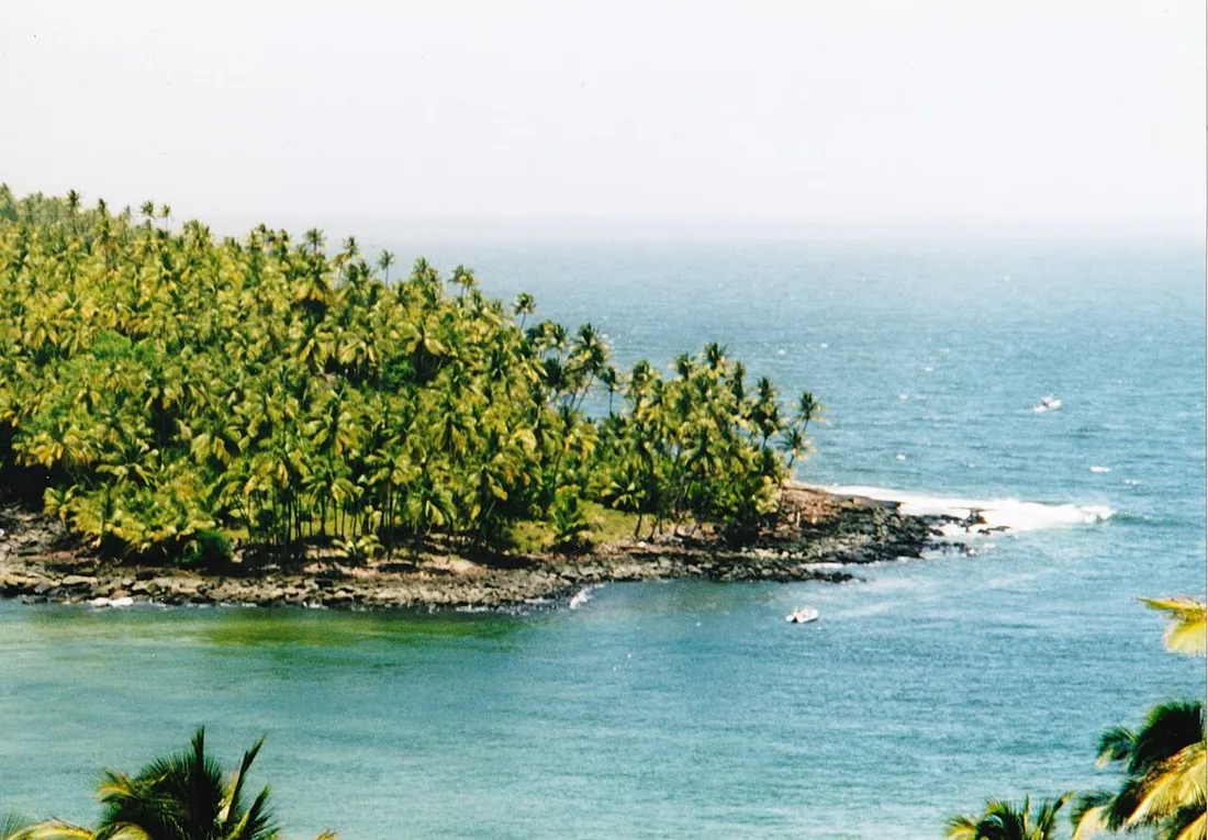 Île du Diable, l'une des Îles du Salut en Guyane, couverte de cocotiers et bordée par l'océan turquoise