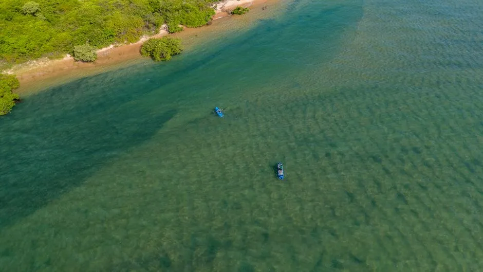 Vue aérienne de kayaks pagayant le long d'une côte bordée de mangrove dans une eau turquoise des Caraïbes, ambiance de la sortie kayak vers l'Îlet Chancel
