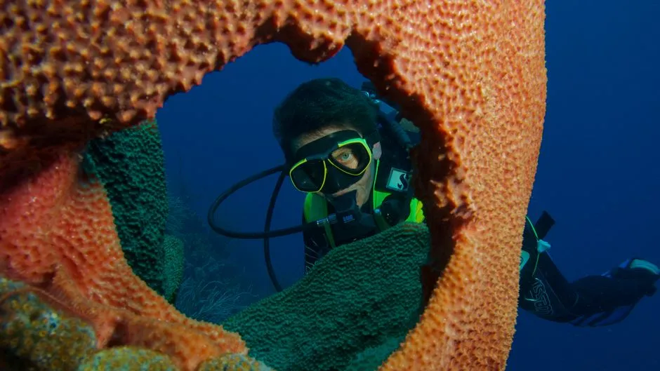 Plongeur sous-marin avec masque et détendeur évoluant au milieu de coraux orange dans les eaux des Caraïbes