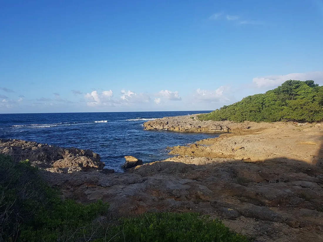 Côte atlantique rocheuse de l'Anse Boutton au Moule, en Guadeloupe, avec son rivage calcaire et la mer turquoise
