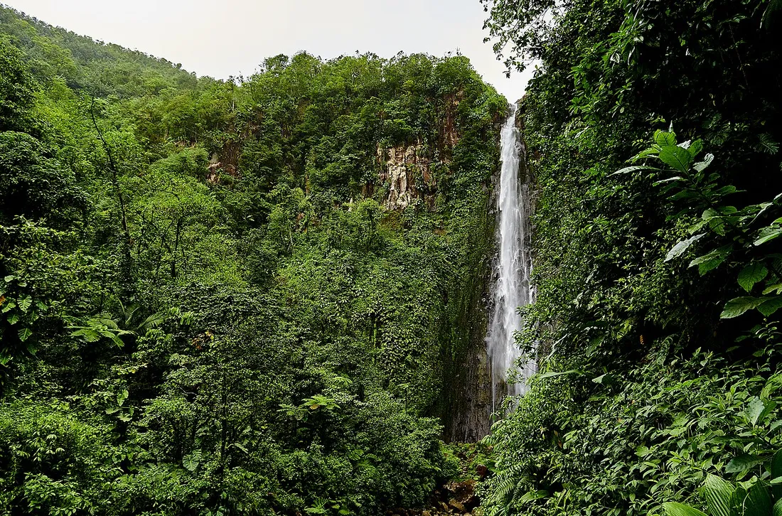 Les Chutes du Carbet, hautes cascades jaillissant de la forêt tropicale du Parc national de Guadeloupe sur Basse-Terre