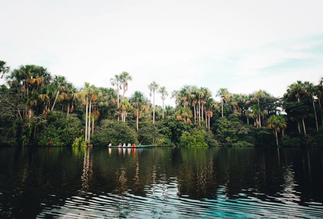 Petite pirogue de visiteurs sur une lagune amazonienne bordee de foret tropicale et de palmiers