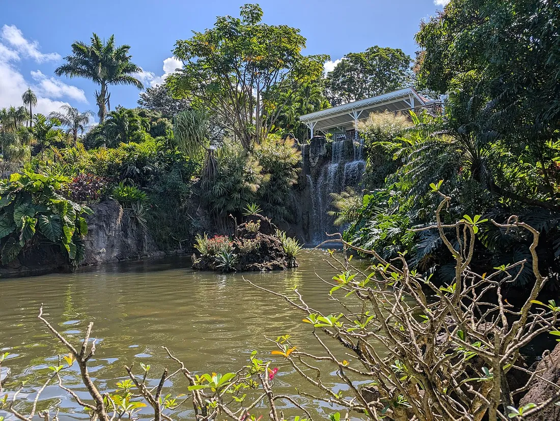Cascade et bassin entoures de vegetation tropicale luxuriante au Jardin botanique de Deshaies, en Guadeloupe