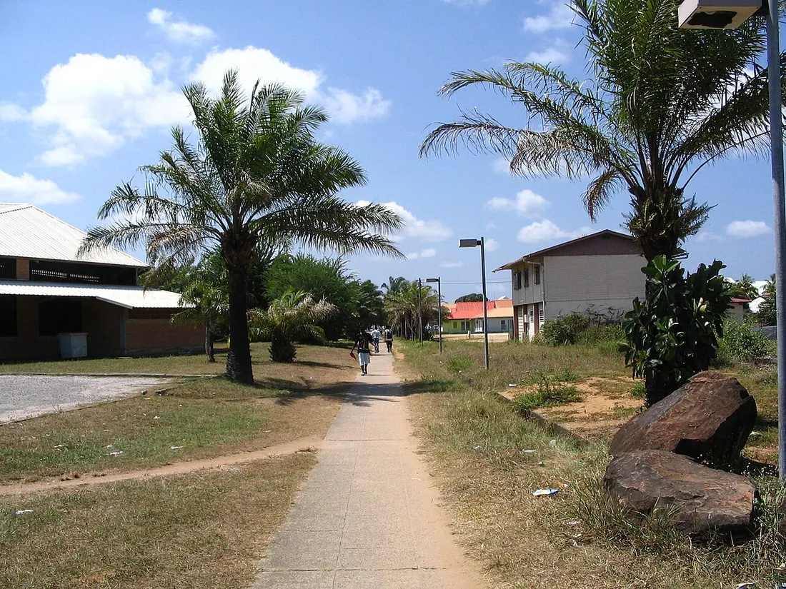 Allée piétonne bétonnée bordée de palmiers à Kourou, en Guyane : maisons basses à toiture de tôle de part et d'autre, quelques passants au loin, ciel bleu
