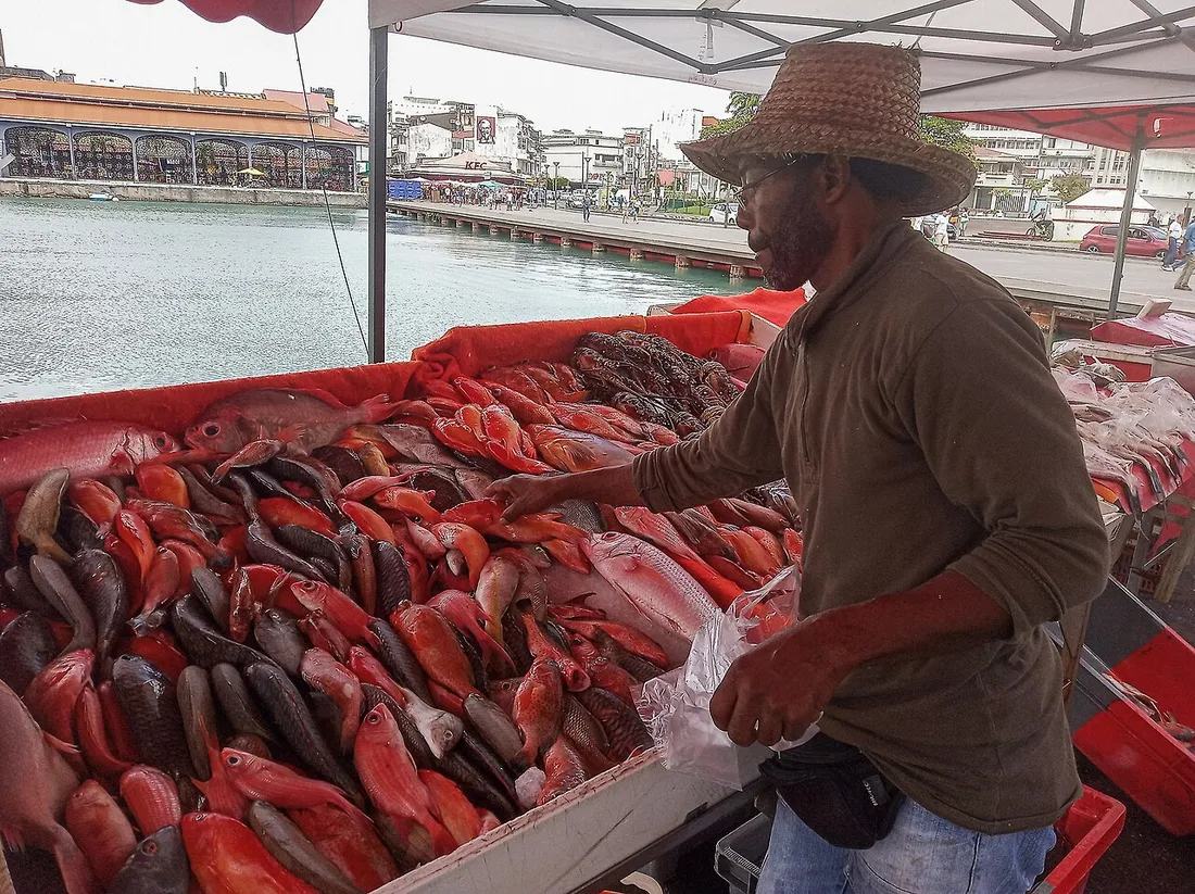 Étal de poissons frais d'un marchand à La Darse, marché aux poissons de Pointe-à-Pitre en Guadeloupe