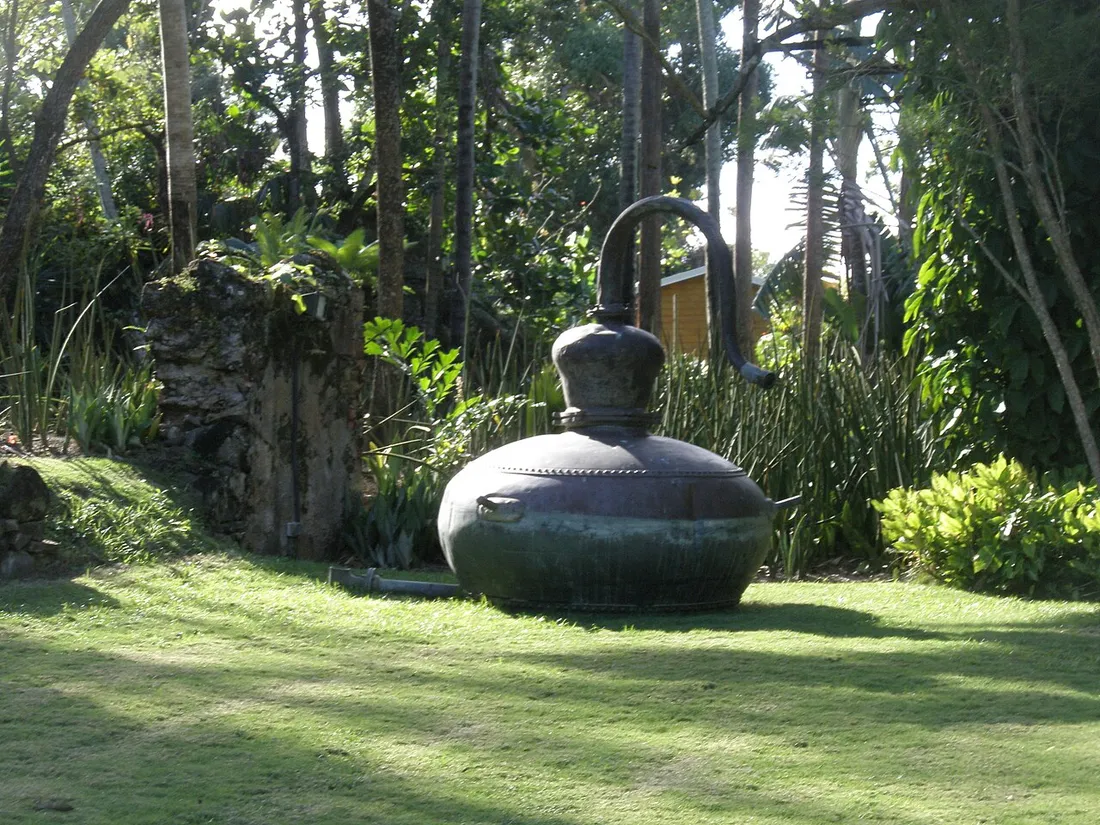 Ancien alambic en cuivre dans les jardins de l'Habitation Anse Latouche au Carbet, vestige du domaine historique
