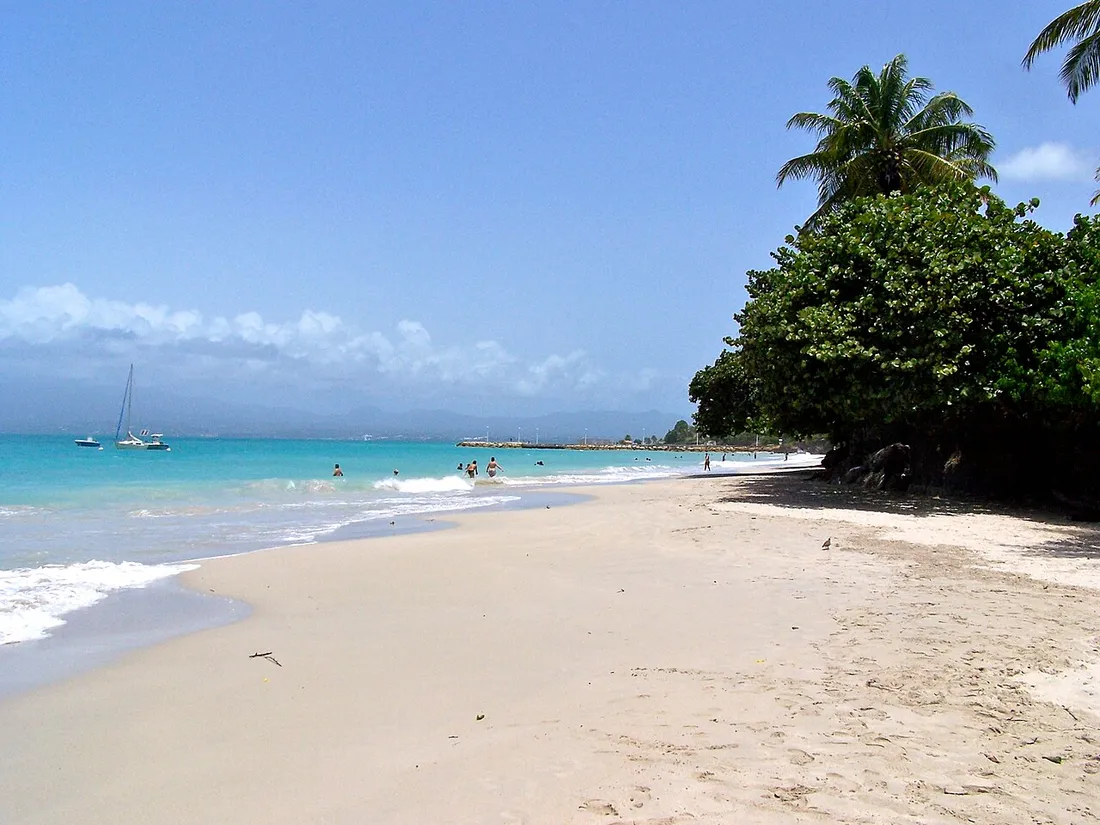 Plage du Gosier en Guadeloupe, sable clair bordé de cocotiers et eaux turquoise, secteur prisé pour la location de logements