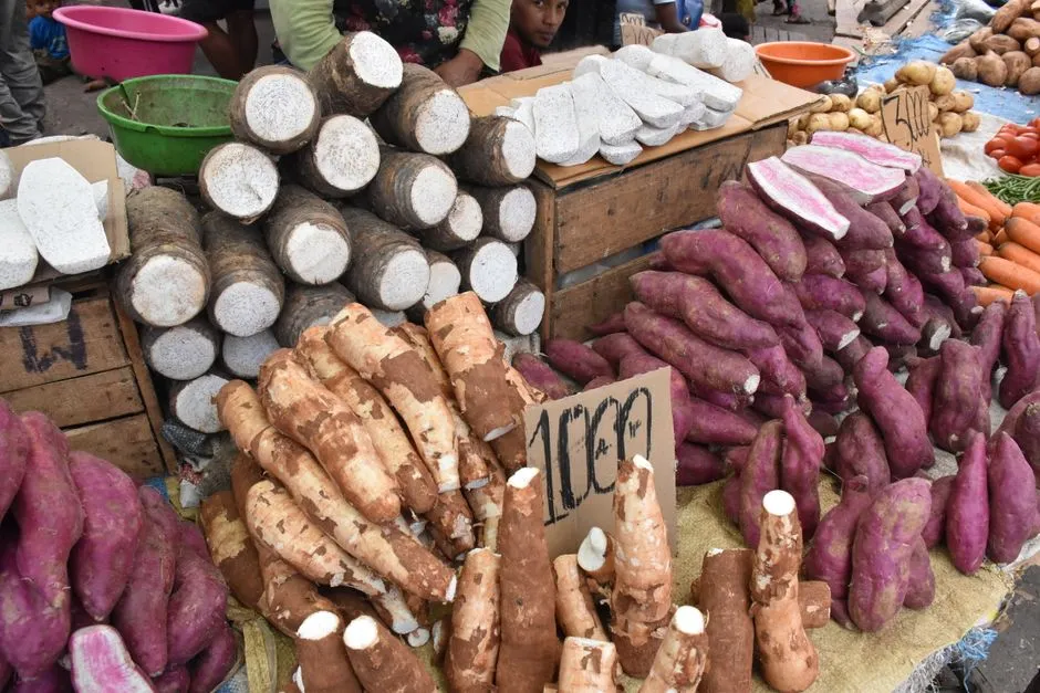 Étal de marché antillais débordant de légumes racines : ignames, manioc, patates douces violettes et carottes avec leurs pancartes de prix manuscrites