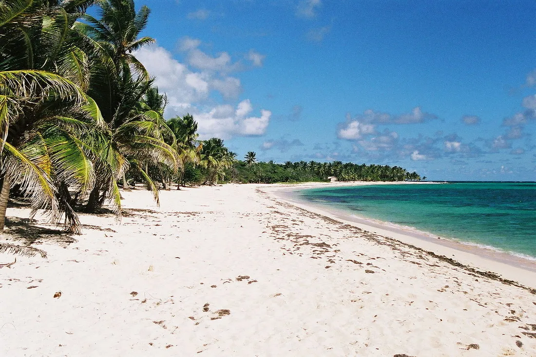 La plage de la Feuillère à Marie-Galante, sable blanc bordé de cocotiers et eaux turquoise des Caraïbes