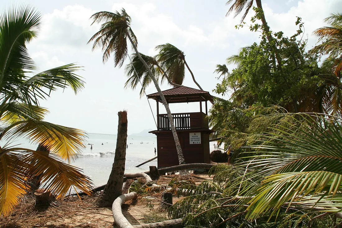 Plage des Salines en Martinique avec sa mer calme, son sable clair et un poste de secours sous les cocotiers, cadre paisible adapté aux seniors