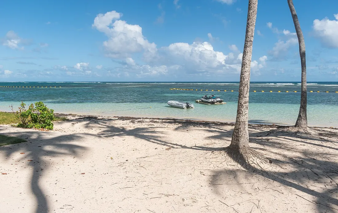 Plage de la Caravelle à Sainte-Anne en Guadeloupe, sable blanc, cocotiers et lagon turquoise protégé par la barrière de corail