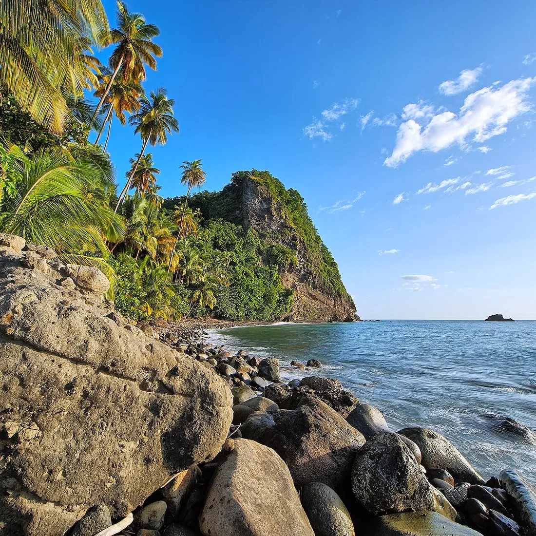 Plage sauvage de sable noir et galets volcaniques de l'Anse Couleuvre, bordée de falaises verdoyantes et de cocotiers, dans le nord de la Martinique
