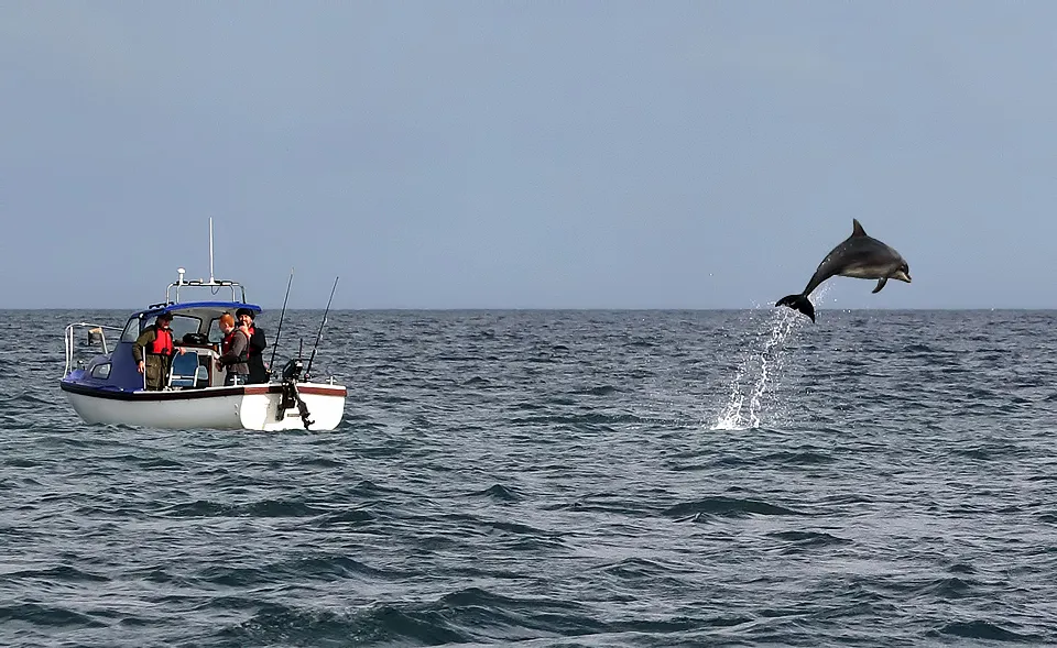 Grand dauphin bondissant hors de l'eau près d'un petit bateau d'où des observateurs assistent à la scène en mer