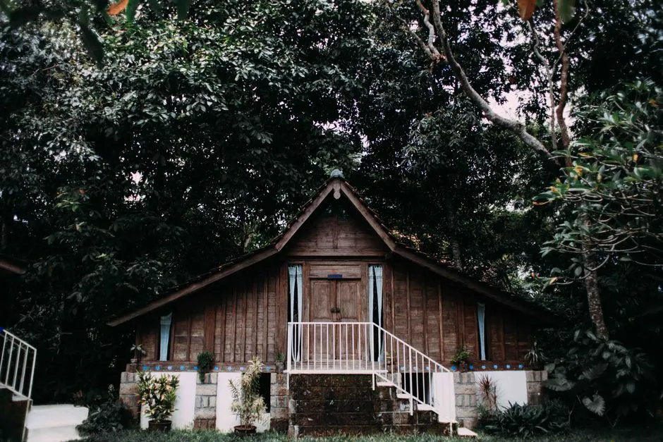 Petit gîte en bois niché dans une végétation tropicale dense, ambiance d'hébergement nature en forêt