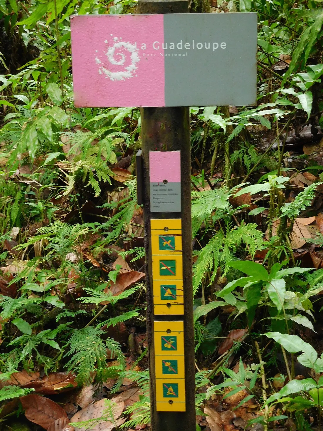 Panneau d'information et de balisage du Parc national de la Guadeloupe sur un sentier de randonnee en foret tropicale, avec pictogrammes de reglementation