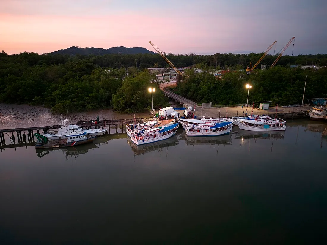 Bateaux de pêche amarrés à l'aube au port du Larivot, près de Cayenne en Guyane, sur l'estuaire bordé de mangrove