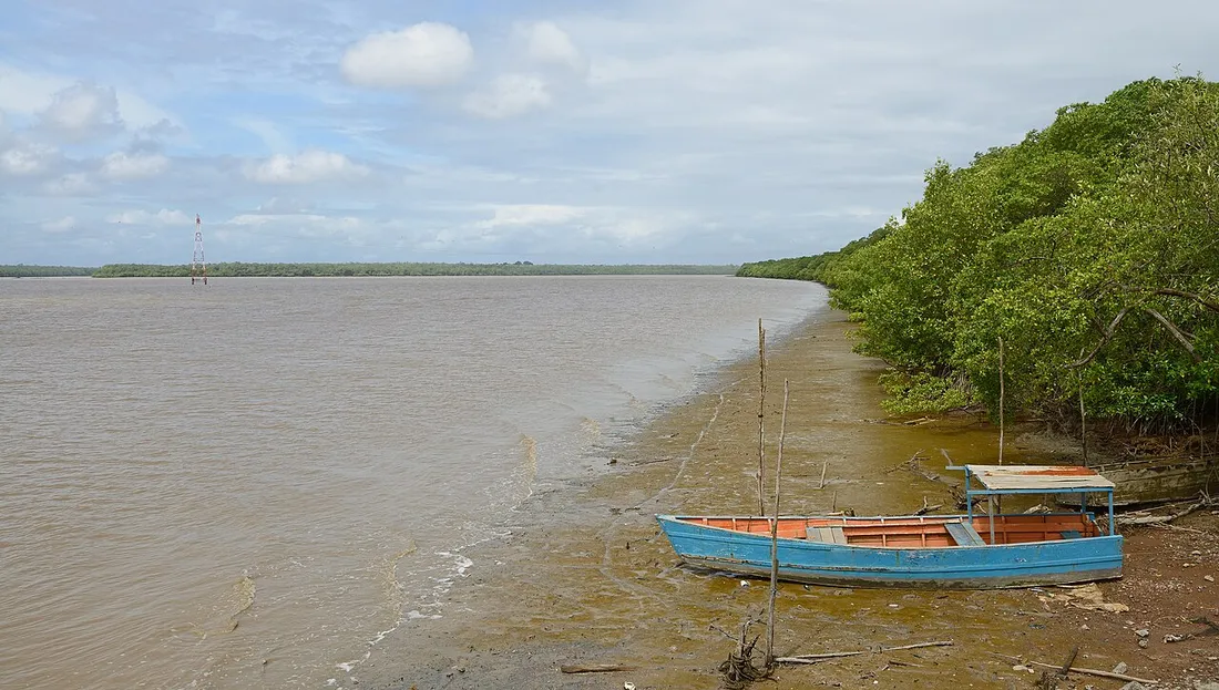 Embarcation de pêche échouée sur la vase de l'estuaire des rivières de Cayenne et de Montsinéry, bordé de mangrove en Guyane