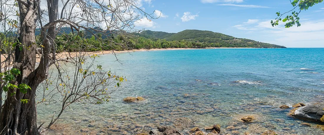 Vue panoramique de la baie de la plage de Cluny à Sainte-Rose, eau claire turquoise, rochers et collines boisées de Basse-Terre nord