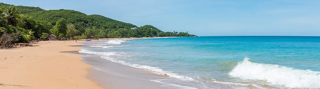 Panorama de la plage de la Perle a Deshaies, en Guadeloupe, avec son sable dore borde de collines verdoyantes et des vagues qui deferlent sur le rivage