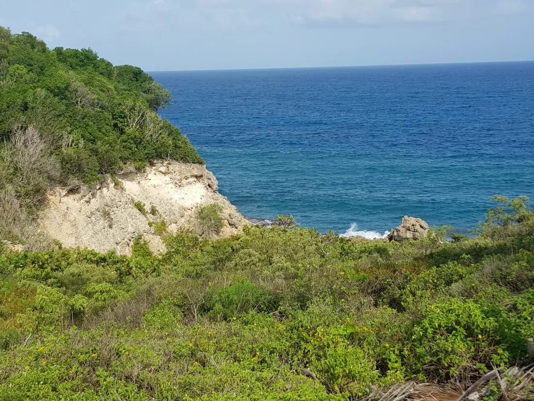 Littoral sauvage et escarpé entre Le Gosier et Sainte-Anne en Guadeloupe, falaise végétalisée dominant la mer bleue, sans aménagement