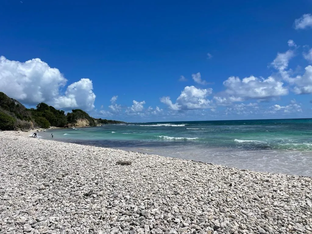 Plage sauvage et déserte de Gros Sable près de Sainte-Anne, cordon de galets et débris coralliens battu par les vagues sous un ciel nuageux