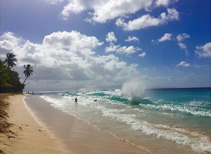 Vague se brisant sur le sable clair de la plage du Souffleur a Port-Louis, bordee de cocotiers face a la mer turquoise de Grande-Terre