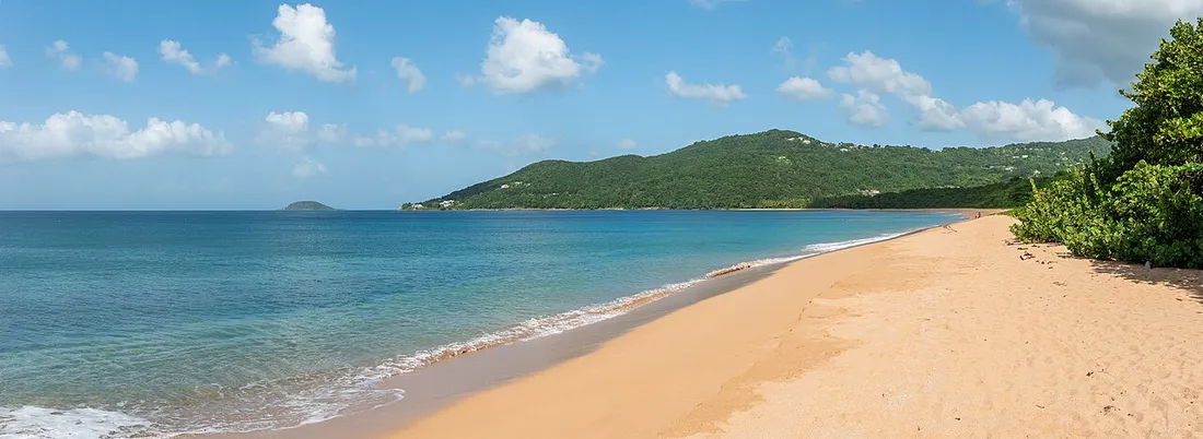 Vue panoramique de la plage de Grande Anse à Deshaies : longue étendue de sable doré, mer turquoise et pointe boisée à l'horizon